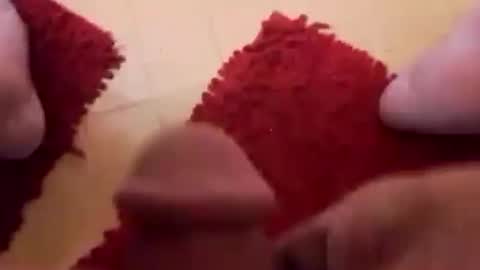 BookWriter online show from 02.24.25