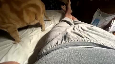 ngianop online show from 04.12.26