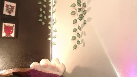  niakat  online show from 01.16.26