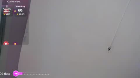 Niawk online show from 02.07.25