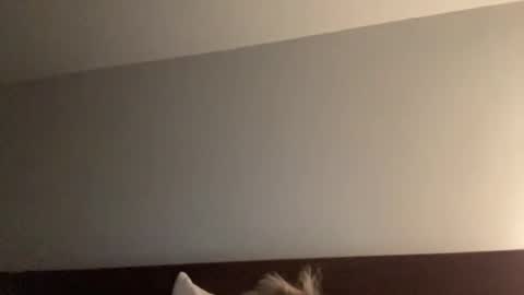 Snapshot of nice_gentle_naughty chatting on 12.13.24 Nice Gentle Naughty online show from 12.13.24