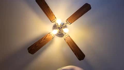 nicholasweber21 online show from 01.11.25