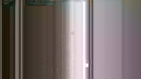 Snapshot of nick1213n chatting on 03.06.25 nick1213n online show from 03.06.25