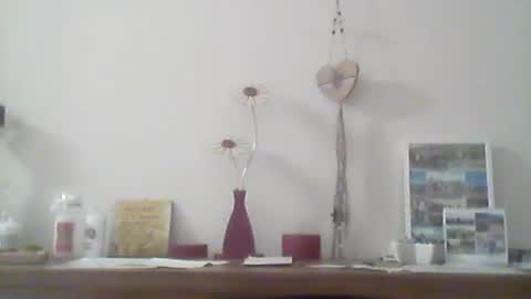 nick1990b online show from 04.11.26