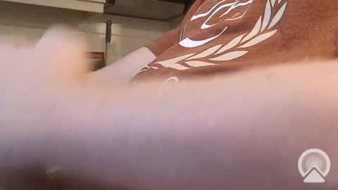 nick_x_b online show from 12.09.24