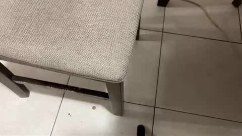 Carlos Nico online show from 03.14.26