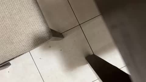 Snapshot of nicocar83pty chatting on 03.02.26 Carlos Nico online show from 03.02.26