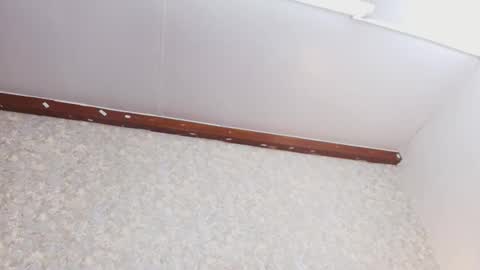 Nicol online show from 10.03.25