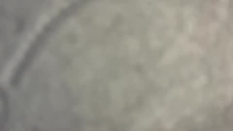 Nicoll  Independent model online show from 04.15.26