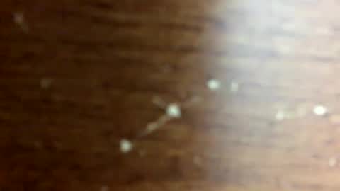 Snapshot of nightmoves1970 chatting on 10.14.25 nightmoves1970 online show from 10.14.25