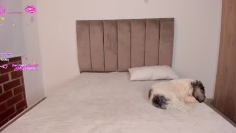Snapshot of niicoleta2 chatting on 06.17.26 Niicoleta online show from 06.17.26