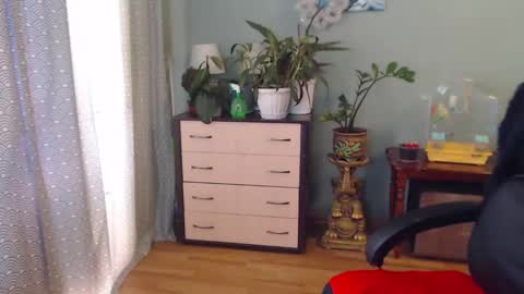 Nika online show from 02.02.25