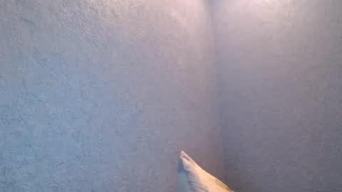 Snapshot of nikayshadow chatting on 02.05.25 NikayShadow online show from 02.05.25
