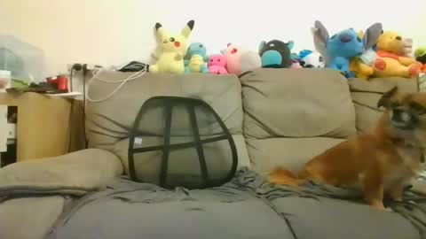 Brian and Logan Brogan online show from 01.18.25