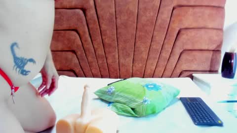 niki online show from 01.27.25