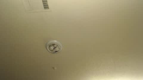 Nikki Mastersgirl1091 online show from 03.19.26