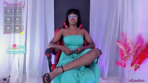 Snapshot of nilosolem12 chatting on 10.13.25 nilo solem online show from 10.13.25