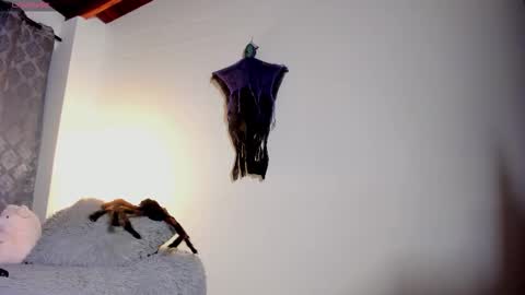 Catalina online show from 10.20.25