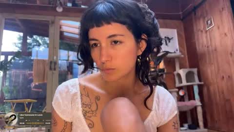 Nina.  online show from 12.18.25