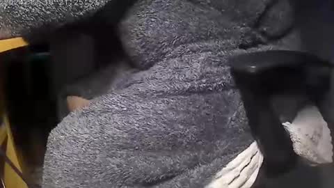 Snapshot of nineinchhard chatting on 12.09.24 nineinchhard online show from 12.09.24