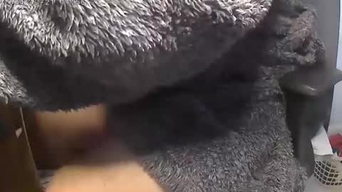 Snapshot of nineinchhard chatting on 12.21.24 nineinchhard online show from 12.21.24