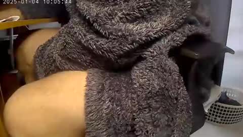 Snapshot of nineinchhard chatting on 01.04.25 nineinchhard online show from 01.04.25