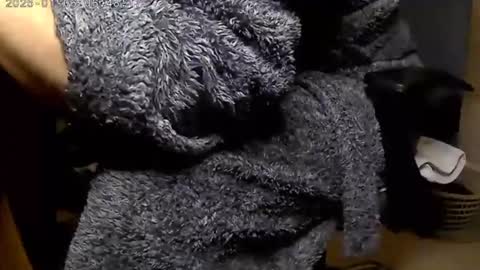 Snapshot of nineinchhard chatting on 01.06.25 nineinchhard online show from 01.06.25