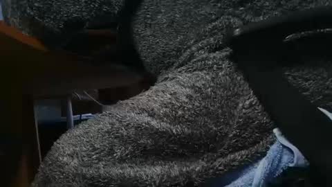 Snapshot of nineinchhard chatting on 01.23.25 nineinchhard online show from 01.23.25