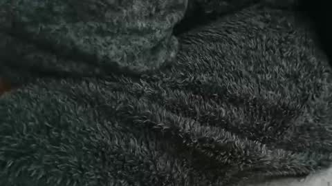 Snapshot of nineinchhard chatting on 09.14.25 nineinchhard online show from 09.14.25