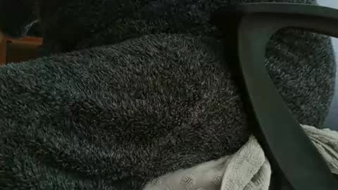 Snapshot of nineinchhard chatting on 10.12.25 nineinchhard online show from 10.12.25