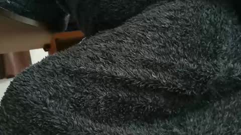 Snapshot of nineinchhard chatting on 10.28.25 nineinchhard online show from 10.28.25