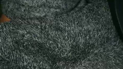 nineinchhard online show from 12.16.25