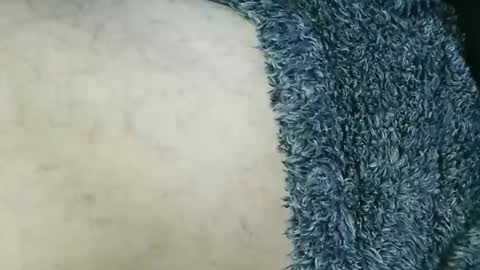 nineinchhard online show from 03.15.26