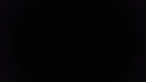 Ninjadance online show from 03.08.25