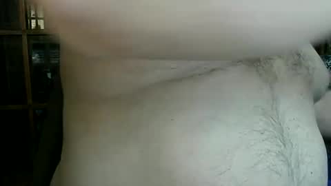 Snapshot of nip_fun_bear chatting on 01.30.25 Nip Fun Bear online show from 01.30.25