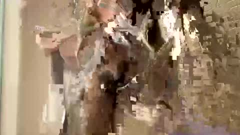 nnm110 online show from 02.09.25