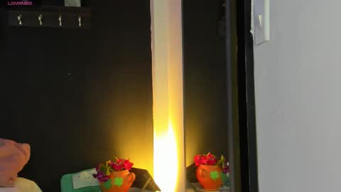 Noah  online show from 01.14.26