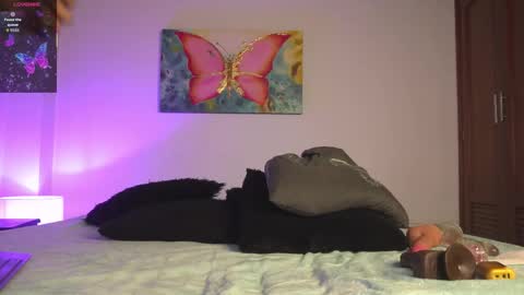 Snapshot of noah_0814 chatting on 10.24.25 noah_0814 online show from 10.24.25