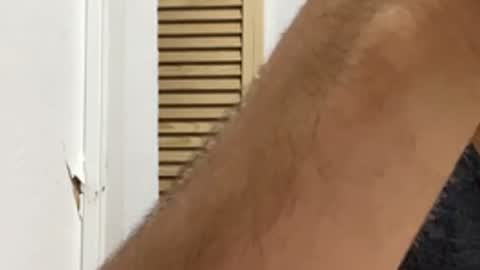 Noah online show from 03.30.26