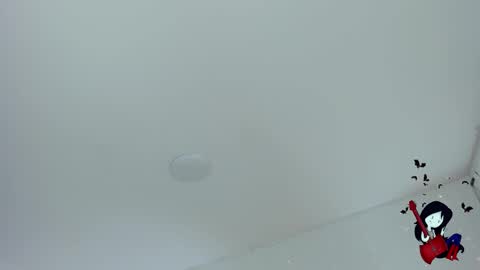 Snapshot of noahcryptic chatting on 10.29.25 Noah online show from 10.29.25