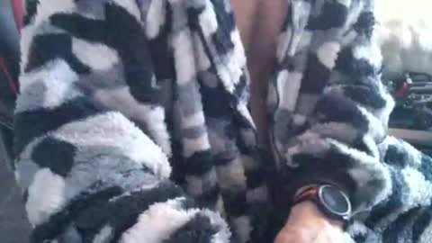 Snapshot of nobby2468 chatting on 12.14.25 Boingyyyy online show from 12.14.25