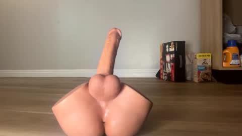 nocturnalhabits online show from 10.26.25