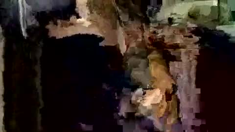 nocturnus1980 online show from 12.01.25