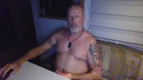 nomadfreedom online show from 01.01.25