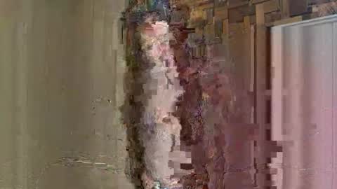 NoodsOverNudes online show from 05.26.26