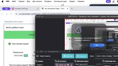 North stallions online show from 11.24.25