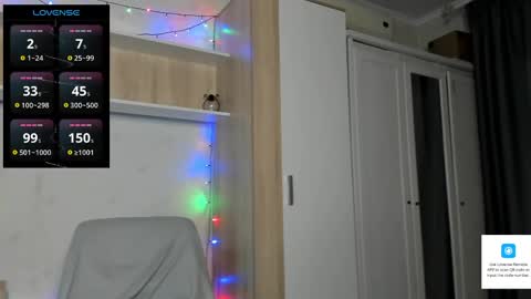 North stallions online show from 04.06.26