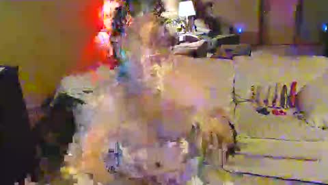 norules2323 online show from 04.26.26