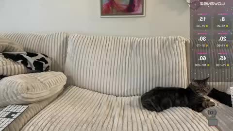 Snapshot of noturbabymoms chatting on 12.24.24 NotUrBabyMoms online show from 12.24.24