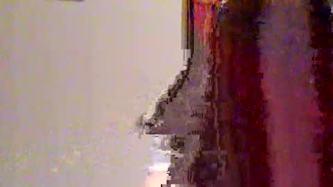 novahexx online show from 04.13.26